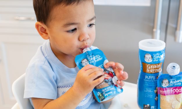 Stock Up On Baby’s Favorites & Save – Over 100 Gerber Products Are BOGO At Publix!