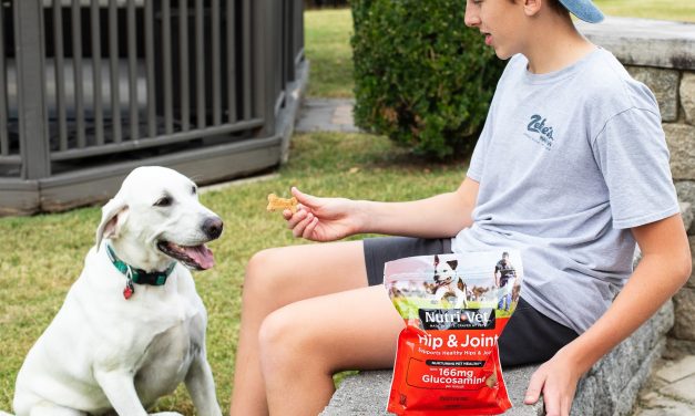 Nutri+Vet Biscuits For Dogs As Low As $4.25 At Publix (Regular Price $10.99)