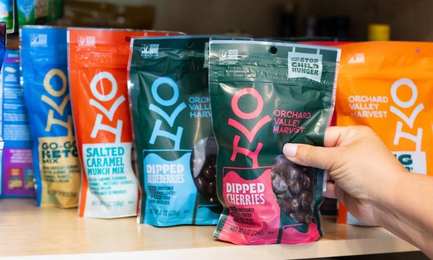 Fuel Your Family with OVH Bagged Snacks – On Sale Now At Publix