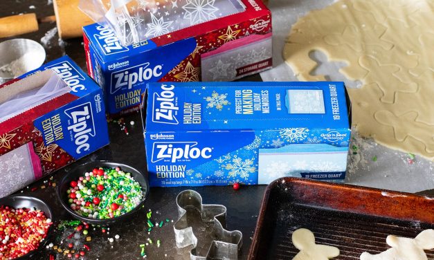 Spread Some Holiday Cheer with Ziploc® Brand Holiday Bags – Available At Publix