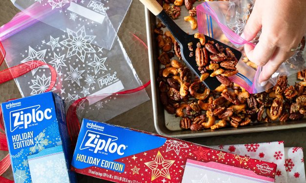 BOGO Sale On Ziploc® Brand Bags At Publix – Stock Up & Add Some Festive Fun To Your Holidays