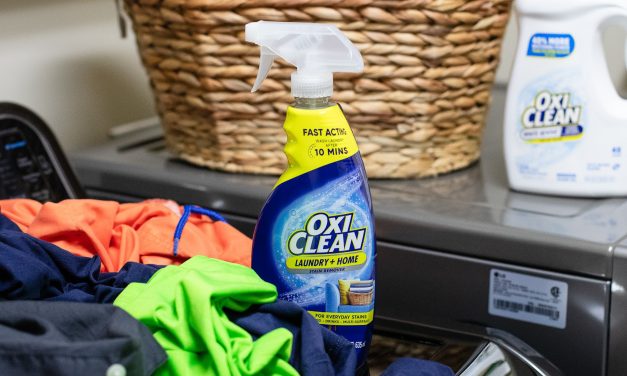 OxiClean Laundry Stain Remover Spray Just 60¢ At Publix