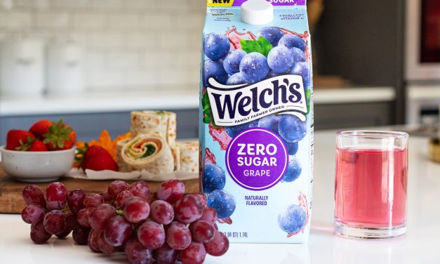 Welch’s Fruit Juice Cocktail Zero Sugar Just $1.10 At Publix