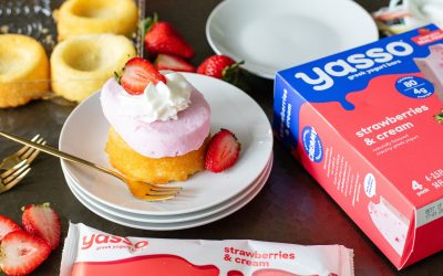 Get All Your Favorite Yasso Snacks At A Great Price – BOGO Sale This Week At Publix