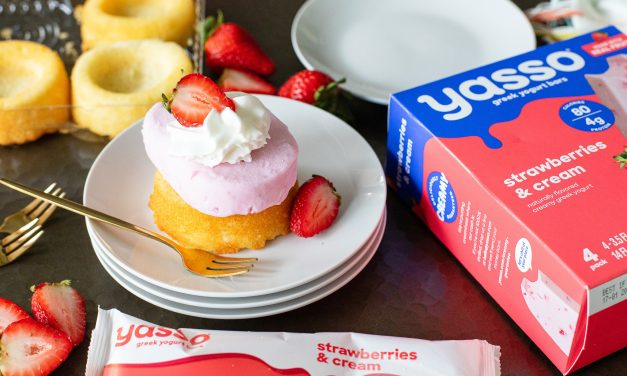 Get All Your Favorite Yasso Snacks At A Great Price – BOGO Sale This Week At Publix