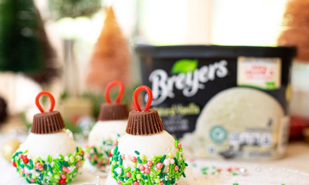 Serve Up Festive Breyers Ice Cream Ornaments – Save NOW At Publix