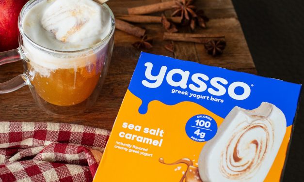 Time To Stock Your Freezer – Yasso Products Are BOGO At Publix