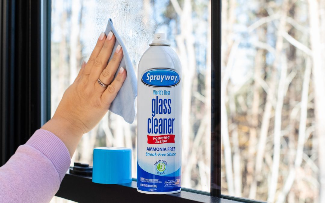 Grab A Deal On Sprayway Glass Cleaner Right Now At Publix – Just $2 Per Can!